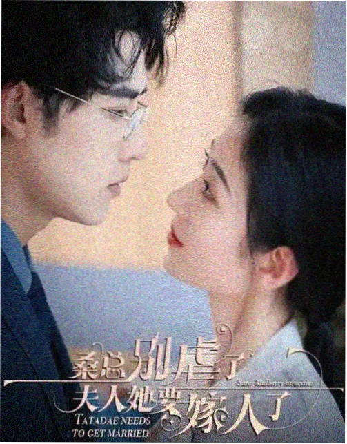 长夜回声家庭长剧卡片封面